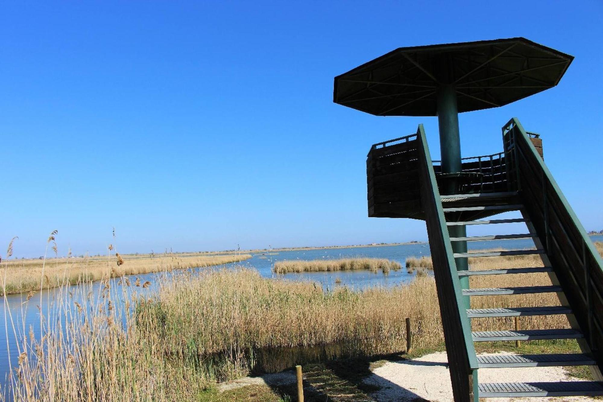 Quet - Casa Rural Con Piscina Privada En El Delta Del Ebro - Deltavacaciones Дельтебре Экстерьер фото